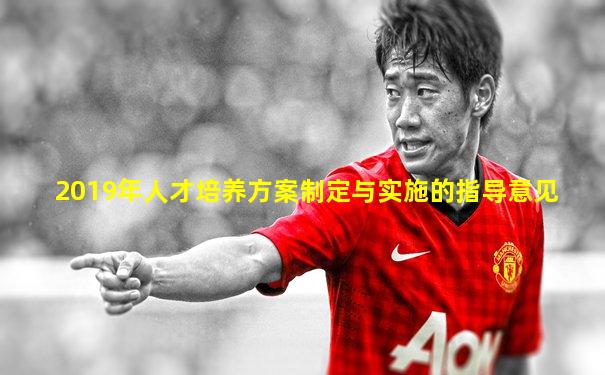 2019年人才培养方案制定与实施的指导意见
