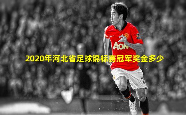 2020年河北省足球锦标赛冠军奖金多少