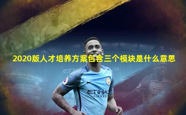 2020版人才培养方案包含三个模块是什么意思