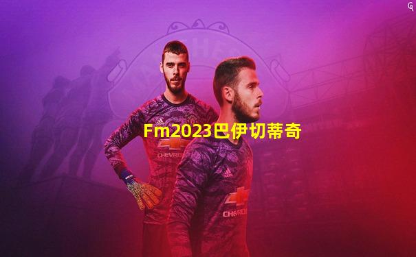 Fm2023巴伊切蒂奇