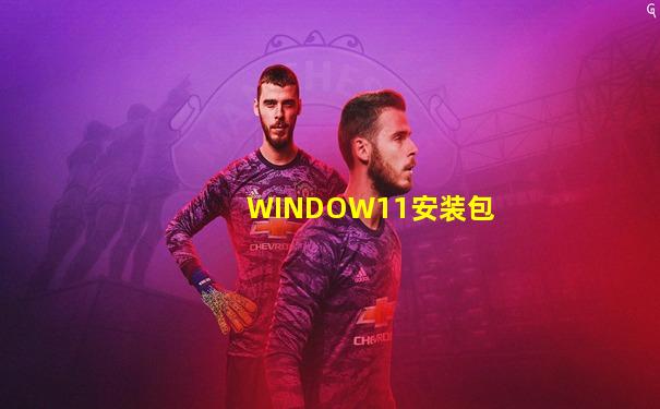 WINDOW11安装包