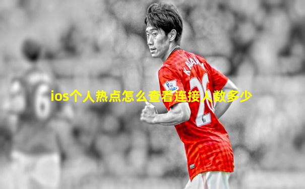 ios个人热点怎么查看连接人数多少