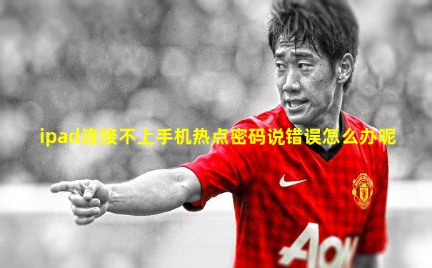 ipad连接不上手机热点密码说错误怎么办呢