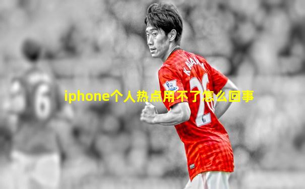 iphone个人热点用不了怎么回事
