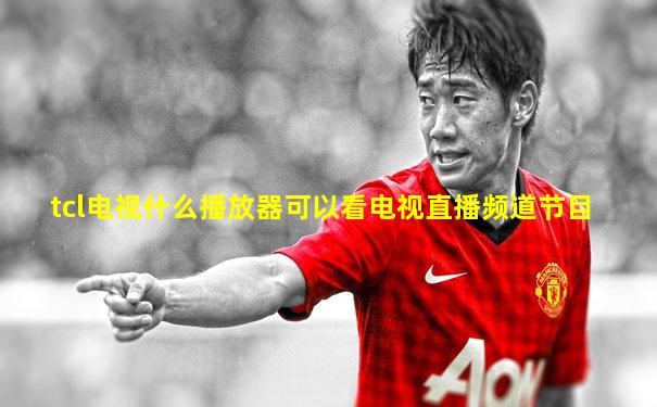 tcl电视什么播放器可以看电视直播频道节目