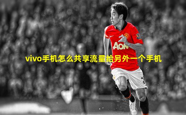 vivo手机怎么共享流量给另外一个手机