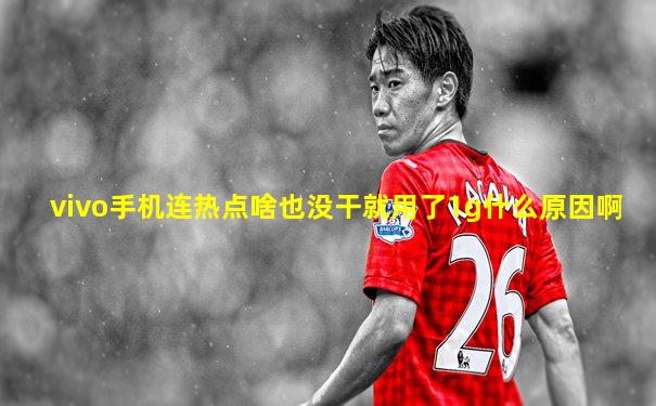 vivo手机连热点啥也没干就用了1g什么原因啊