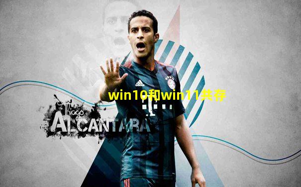 win10和win11共存