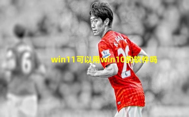 win11可以用win10的软件吗