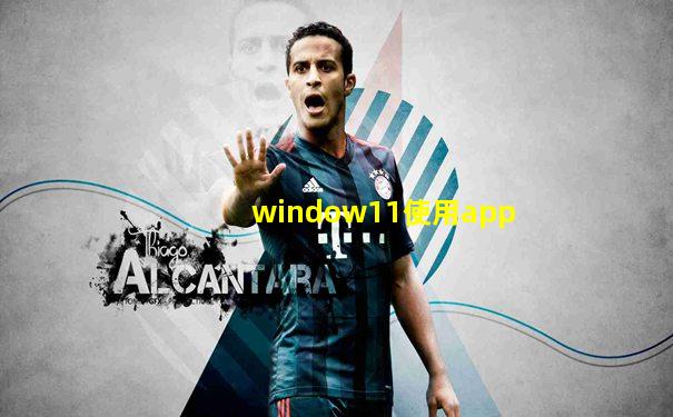 window11使用app