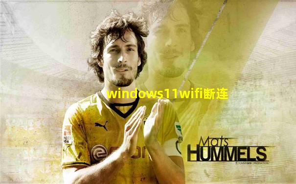 windows11wifi断连