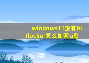 windows11没有bitlocker怎么加密u盘