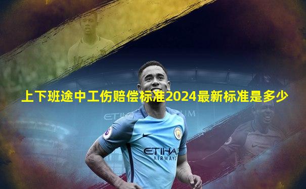 上下班途中工伤赔偿标准2024最新标准是多少