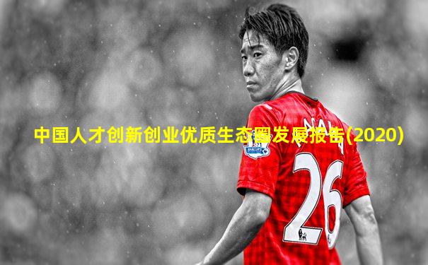 中国人才创新创业优质生态圈发展报告(2020)