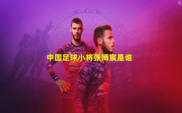 中国足球小将张博宸是谁
