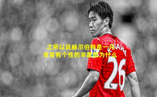 之所以说赫尔伯特是一只非常有个性的羊是因为什么