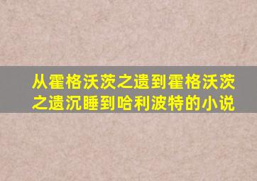 从霍格沃茨之遗到霍格沃茨之遗沉睡到哈利波特的小说