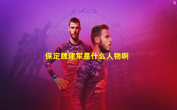 保定魏建军是什么人物啊