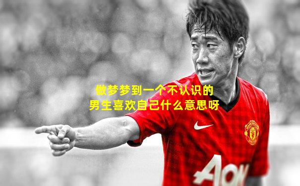 做梦梦到一个不认识的男生喜欢自己什么意思呀