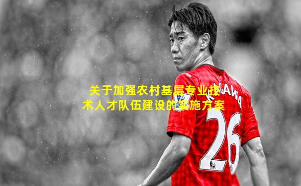 关于加强农村基层专业技术人才队伍建设的实施方案