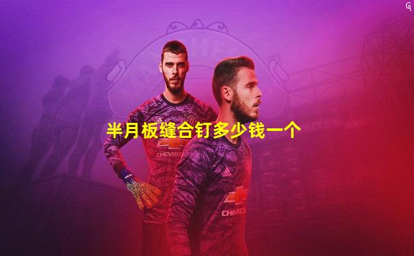 半月板缝合钉多少钱一个