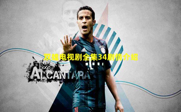 双雄电视剧全集34剧情介绍