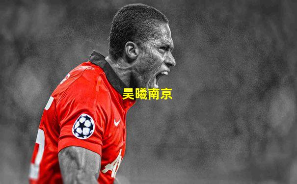 吴曦南京