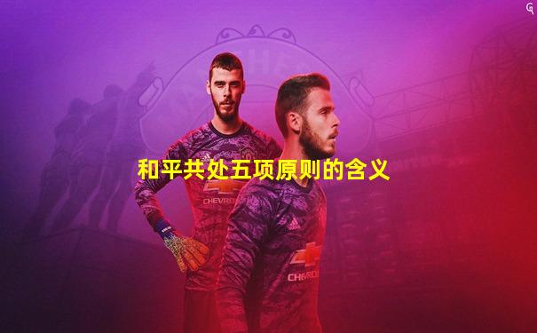和平共处五项原则的含义