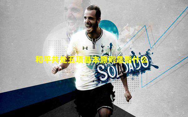 和平共处五项基本原则是指什么