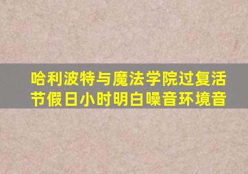 哈利波特与魔法学院过复活节假日小时明白噪音环境音