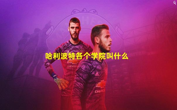 哈利波特各个学院叫什么