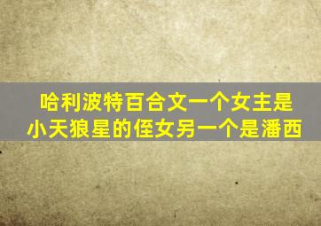 哈利波特百合文一个女主是小天狼星的侄女另一个是潘西