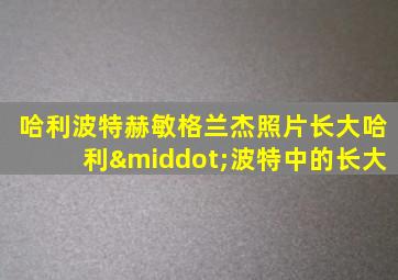 哈利波特赫敏格兰杰照片长大哈利·波特中的长大