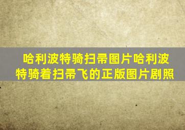 哈利波特骑扫帚图片哈利波特骑着扫帚飞的正版图片剧照