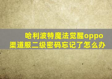 哈利波特魔法觉醒oppo渠道服二级密码忘记了怎么办