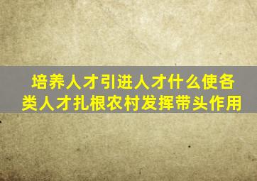 培养人才引进人才什么使各类人才扎根农村发挥带头作用