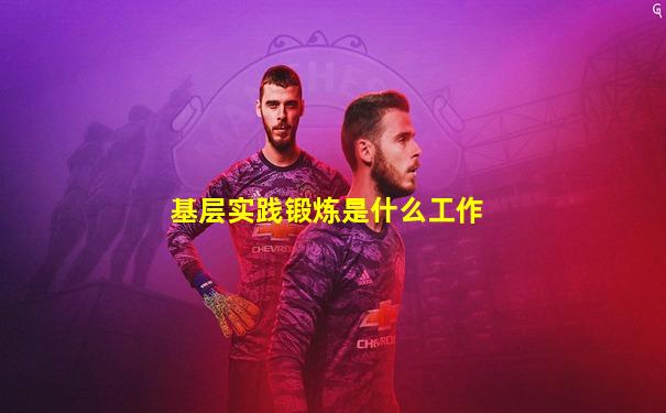 基层实践锻炼是什么工作