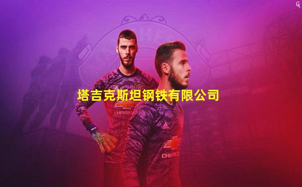 塔吉克斯坦钢铁有限公司