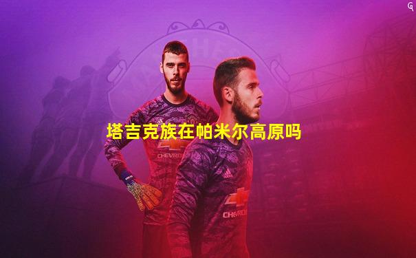 塔吉克族在帕米尔高原吗