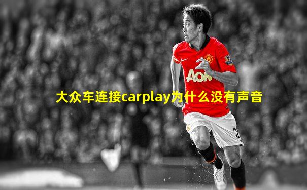 大众车连接carplay为什么没有声音