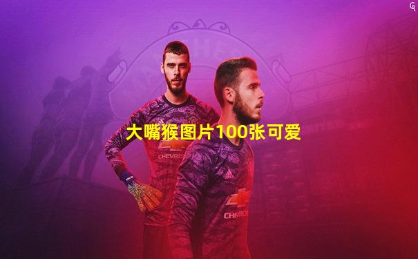 大嘴猴图片100张可爱