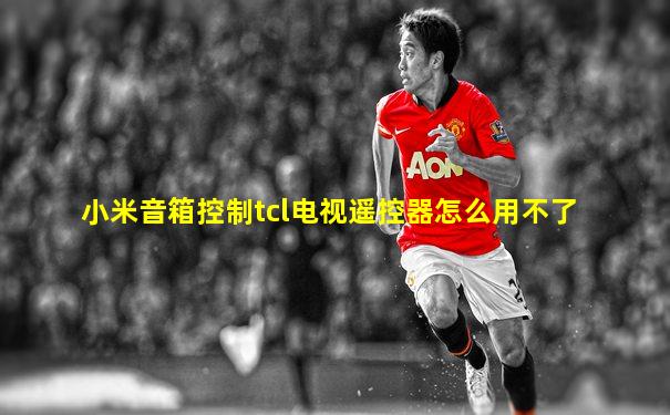 小米音箱控制tcl电视遥控器怎么用不了