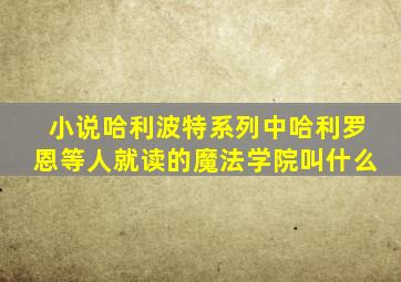 小说哈利波特系列中哈利罗恩等人就读的魔法学院叫什么