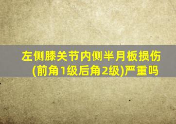 左侧膝关节内侧半月板损伤(前角1级后角2级)严重吗