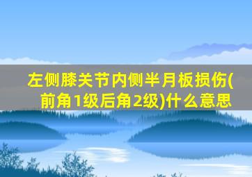 左侧膝关节内侧半月板损伤(前角1级后角2级)什么意思
