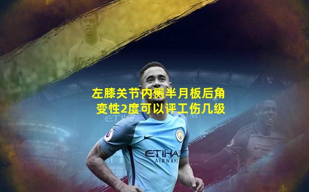 左膝关节内侧半月板后角变性2度可以评工伤几级