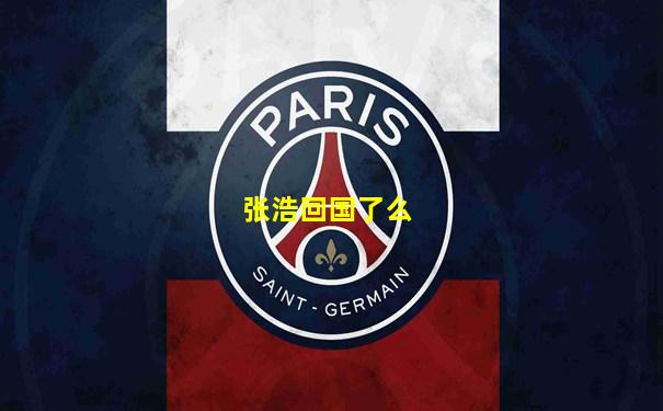 张浩回国了么