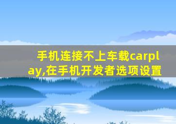 手机连接不上车载carplay,在手机开发者选项设置