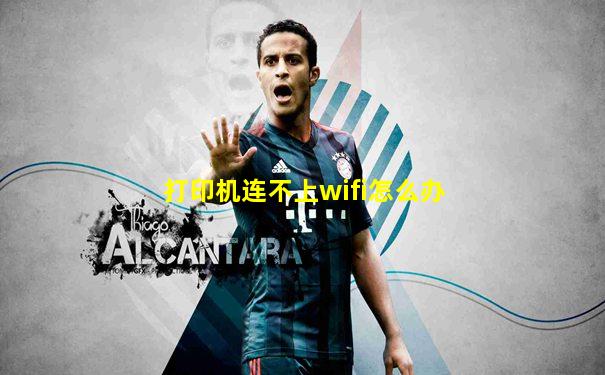 打印机连不上wifi怎么办