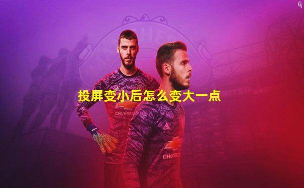 投屏变小后怎么变大一点